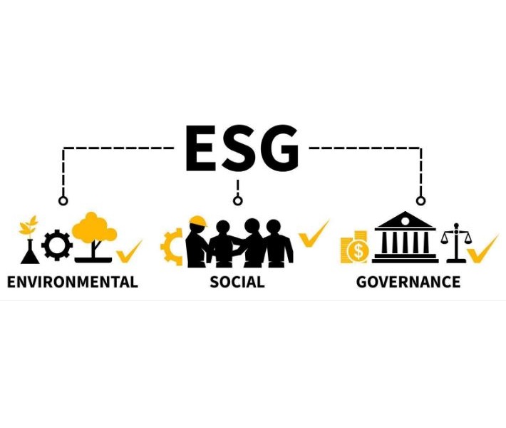 ( ESG ) Enviroment Social and Governance